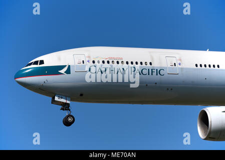 Cathay Pacific Airways Boeing 777 Jet-Flugzeug landet am Flughafen London Heathrow, Großbritannien, in blauem Himmel. 777-300 B-KQP Stockfoto