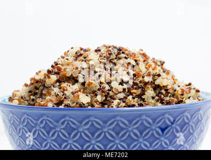 Schwarz, Rot und Weiß Quinoa, gekocht worden ist und dann geschmort, bis das Wasser aufgesogen hat. Quinoa, Schisandra Quinoa, ist der Amar Stockfoto