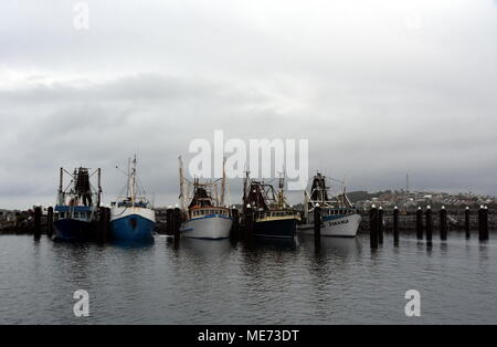 Coffs Harbour, Australien - Dez 31, 2017. Fischerboote in der Marina in Solitary Islands Marine Park an einem bewölkten Tag. Stockfoto