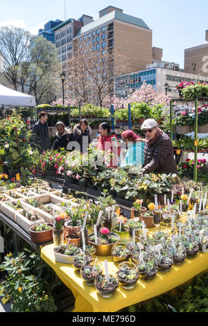 Bauernmarkt in Union Square Park, New York City, USA Stockfoto