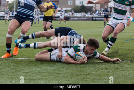 London, UK, 21. April 2018. Piers O'Connor Kerben versuchen, Ealing Trailfinders v Bedford Blues im Halbfinale der B& I Cup auf Schloss Bar, Vallis, West Ealing, London, England, am 21. April 2018 Endstand 36-16 Credit: Lissy Tomlinson/Alamy leben Nachrichten Stockfoto