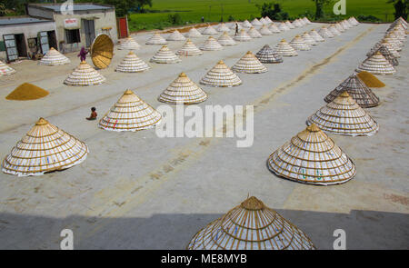 Arbeiter in einer Reismühle Tierheim ihr Produkt mit pyramidenförmigen abdeckt. Stockfoto