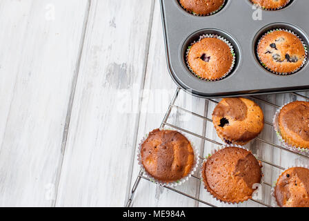 Eine Reihe von Schokolade und Vanille hausgemachte Muffins auf weißem Hintergrund Holz Bäckerei Konzept. Stockfoto
