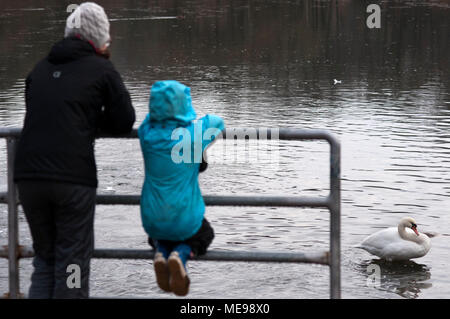 Mutter und Tochter auf die Schwäne in Töölönlahti Park, Central Helsinki, Finnland, Europa. Stockfoto