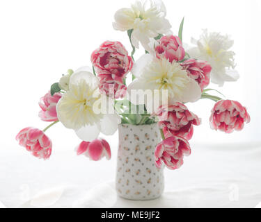 Tulpen und Pfingstrosen in einem Krug Stockfoto