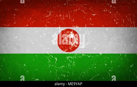 Flaggen der Niger mit zerbrochenen Glas Textur. Vector Illustration Stock Vektor