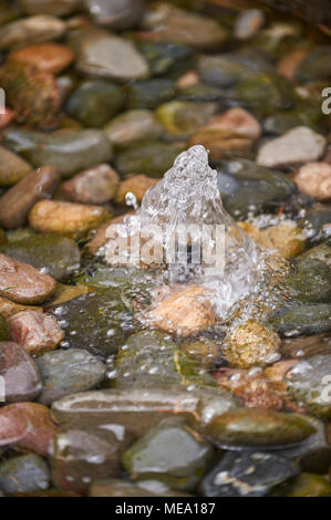 Springbrunnen und nassen Kieselsteinen Stockfoto