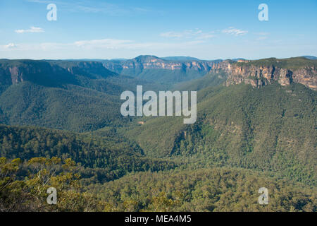 Blick von Evans Lookout. Blue Mountains, New South Wales. Stockfoto