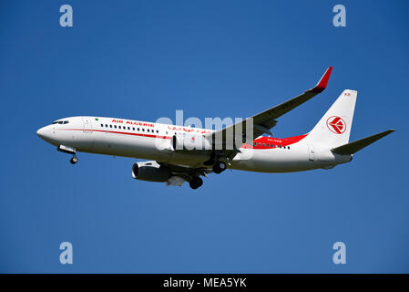 Air Algerie Boeing 737 Jet Flugzeug landet am Flughafen London Heathrow, Großbritannien, in blauem Himmel. Boeing 737-800 7T-VKR Stockfoto