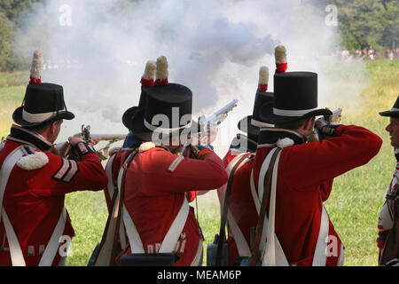British redcoat Reenactors fring Musketen im Krieg von 1812 Feier Stockfoto