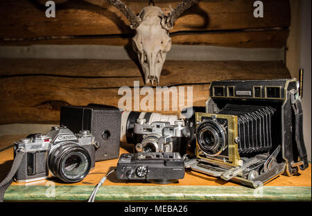 Teil meiner Kamera Sammlung II. Stockfoto