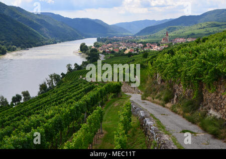 Spektakuläre Aussicht auf Tal und Wachan Gemeinde Weissenkirchen, vom Weinberg. River Boat Cruise Uferexkursion Stockfoto