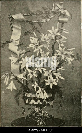 . Gartenwelt sterben. Hn r Ã^ ffiLyivfcyj ^-^ Nfe^* f3 * V E*&gt; 5^y/, ein "^^'Em * f-^ â;&gt; •a'H • Jfl m3 Â £", "^^HL1-f Blumenkorb von Georges ch Cova, Smyrna. Originalaufnahme für sterben âGartenwelt". Blumenstaffelei von Georges ch Cova, Smyrna. Originalaufnahme für sterben âGartenwelt". Verleihen, stecken wir sterben Glas-gesamtkoordinator in stufenartiger, leichter eine n-ovdnung mit Heidekraut, allenfalls auch noch mit einigen ZiergrÃ¼si'Rn. Vor allem aber werden wir in das MittelstÃ¼ck des Tafelauf- satzes beson-deres Ge-wicht legen mÃ¼ssen, da es gewisser- massen den Stockfoto