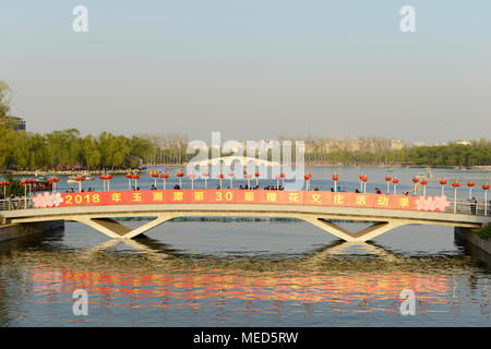 Brücke in Yuyuantan Park in Peking mit Zeichen feiert 30-jähriges Jubiläum des park Cherry Blossom Festival Stockfoto