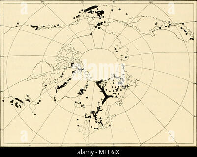 . Sterben Echinodermen des Eisfjords. Abb. 23. Â Ophiura sarsii, + Ophiophura horcalia. - Jan Mayen, 50, 174, 622 m (Fischer 1886, Schumann 1904, Mortensen, 1913). XordostgrÃ¶nland, sÃ¼dlichster Teil (Eile Einlass), 18 m (Morten.* en 1904). ÂWestgrÃ¶nland, etwa 15Â 475, 1300 bis 1400 m (LÃ¼tken 1855, 1857, 1858, Norman 1877, Holm 1889, Geieg 1893 a, 1907 a, VanhÃ¶ Moetensen ffen 1897, 1913). NordwestgrÃ¶nland, 27 bis 36 - 63 bis 72 m (Rankin 1901). Â Ellesmere Land, 18, 45 m (Duncan & Amp;: Sl.^ den 1877, 1878. 1881). Jones Sund und NÃ¤er oft, 12 - 108 m (Geieg 1907a, 1910a). OstkÃ¼Sto von Baffin Land, 27 1. Stockfoto