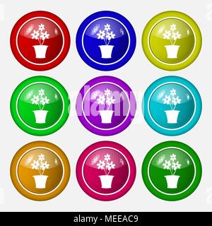 Vase mit Blumen Symbol unterzeichnen. Symbol auf neun Runden farbigen Buttons. Vector Illustration Stock Vektor