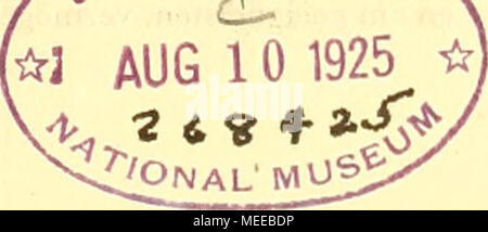 . Die Cephalopoden, I. Teil. Stockfoto