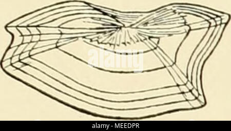 . Die Beteiligung Deutschlands an der internationalen Vollständigen: Jahresbericht. Stockfoto