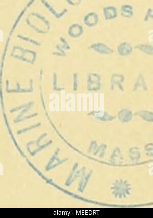 . Die Beteiligung Deutschlands an der internationalen Vollständigen: Jahresbericht. Stockfoto