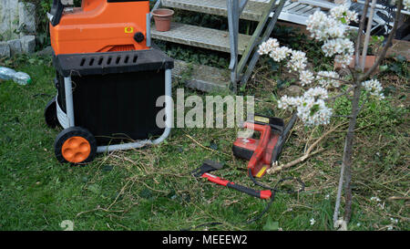 Ein Mann in den Garten ist mit Holz- Filialen in der Maschine zum Zerkleinern. Nahaufnahme Stockfoto