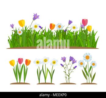 Gras und Blumen Grenze, Grußkarte deko Element weißen Hintergrund. Vector Illustration Stock Vektor