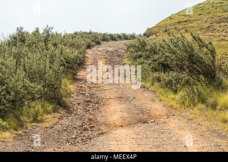 Die Straße zum Parkplatz am Beginn der Sentinel Trail auf den Tugela Wasserfall in den Drakensbergen Stockfoto