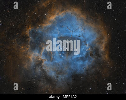 Die Rosette Nebula (Caldwell 49) ist ein großer Wasserstoff Cloud im Sternbild Camelopardalis. Stockfoto