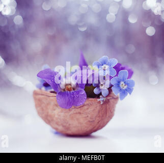 Der floristischen Zusammensetzung mit Veilchen und Vergissmeinnicht Blumen in einer Nußschale gegen schönes Bokeh Hintergrund. Stockfoto
