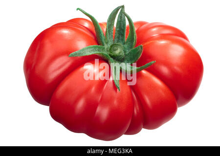 Costoluto di Parma gerippte heirloom Tomaten (Solanum Lycopersicum) Stockfoto