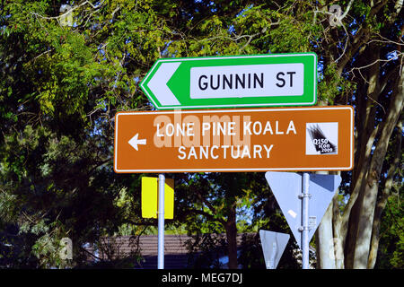 Das Lone Pine Koala Sanctuary, dem ältesten und größten Koala-Schutzgebiet der Welt in der Nähe von Brisbane, Queensland, Australien Stockfoto