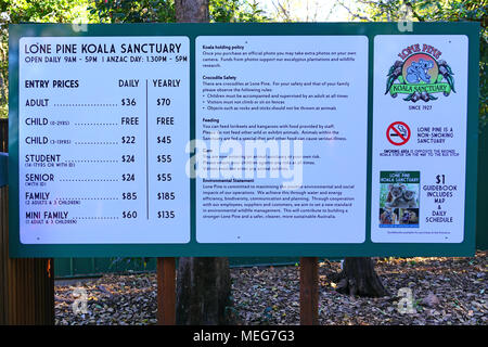 Das Lone Pine Koala Sanctuary, dem ältesten und größten Koala-Schutzgebiet der Welt in der Nähe von Brisbane, Queensland, Australien Stockfoto