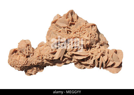 Desert Rose Gips isoliert auf weißem Hintergrund Stockfoto