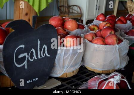 Gala-Äpfel werden ausgestellt und zum Verkauf angeboten Stockfoto