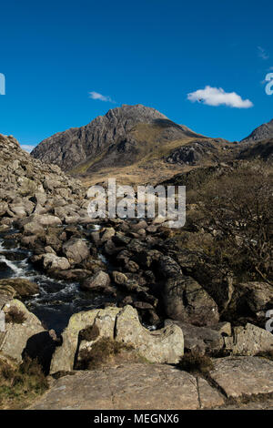 Tryfan, ein 3000 Meter hoher Berg in den Snowdonia National Park. Beliebt bei Wanderern und verwürfler mit zwei Blöcke auf dem Gipfel namens Adam und Eva Stockfoto