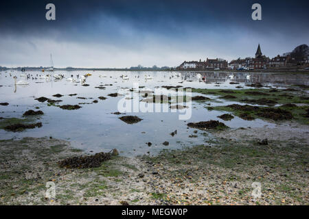 Winter ländliche Szene mit Vögel auf dem estruary at Bosham in West Sussex, England Stockfoto