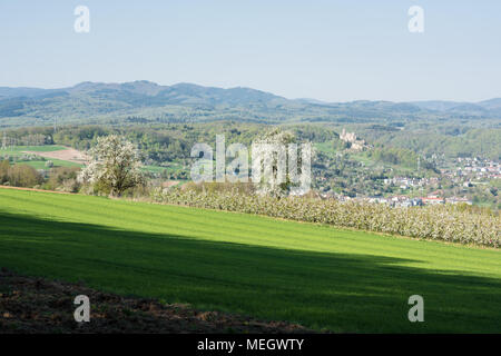 Natur Landschaft Deutschland, Rebsorten Wanderweg in der Nähe von Lörrach Stockfoto