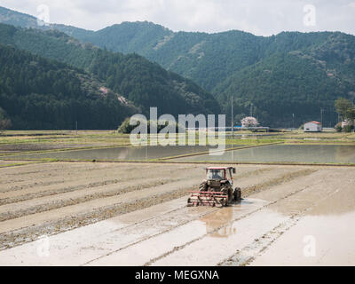 Landwirt Kultivierung Reisfeld mit Traktor, Frühling Pflügen für den Anbau von Reis, Kochi, Shikoku, Japan Stockfoto