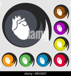 Menschliche Herz zeichen Symbol. Symbole auf acht farbigen Tasten. Vector Illustration Stock Vektor