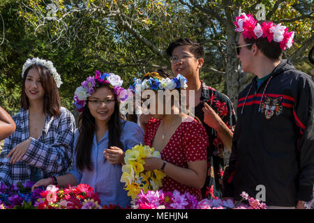 Davis, Kalifornien, USA, 21. April 2017. Studenten mit blume Kronen in einen Stand während der UC Davis jährliche Picknick Tag. Picknick Tag ist ein glücklicher Tag an der UC Cali Stockfoto