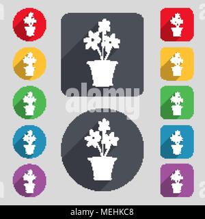 Vase mit Blumen Symbol unterzeichnen. Um ein Set mit 12 farbigen Tasten und einen langen Schatten. Flache Bauform. Vector Illustration Stock Vektor