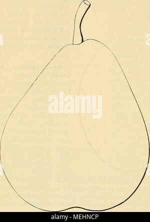 . Wörterbuch de pomologie: Contenant l'histoire, la Description, la Abbildung des Früchte Früchte anciens et des modernes les plus gÃ©nÃ©ralement connus et cultivÃ © s. Poire BERGAMOTE SANS PAREILLE. Â Synonym de Besi unvergleichlich. Voir ce nom. Poire BERGAMOTE SANS PEPINS. Â Synonym de poire Belle de Bruxelles sans PÃ©Pins. Yoir ce nom. Poire BERGAMOTE SILVANGE. Â Synonym de poire Silvange. Voir ce nom. Poire BERGAMOTE SOLDAT. ÂSynonyme de Bergamote de PÃ¢Ques. Voir ce nom. Poire BERGAMOTE DE SOULERS. Â Synonym de poire Bonne deSoulers. Yoir ce nom. Poire BERGAMOTE STOFFELS ou STOFFLET. - Syn Stockfoto