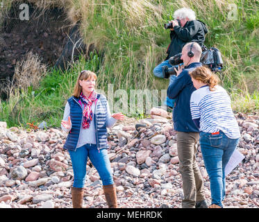 Dunbar, Schottland, 22. April 2018. Auge Cave Strand, Dunbar, East Lothian, Schottland, Vereinigtes Königreich. In der zweiten Europäischen Stein stacking Meisterschaft, von Dunbar Street Art Trail organisiert. Die abschließende Konkurrenz war die meisten künstlerischen Stein Balance zu schaffen. Arlene Stuart, Moderator von TV-Angelegenheiten des ländlichen Raums Programm, Landwärts, Dreharbeiten für die BBC Schottland Programm Stockfoto