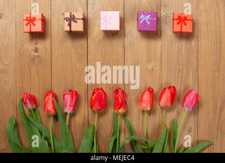 Tulpen sind auf Holzbretter in Reihe angeordnet, Platz für Text, viele kleine Geschenke, Gruß Konzept Stockfoto