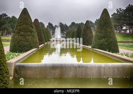 Getrimmt thuja in Form eines Kegels in einem botanischen Garten in der Nähe des Teiches. Keukenhof Garten in Holland Stockfoto