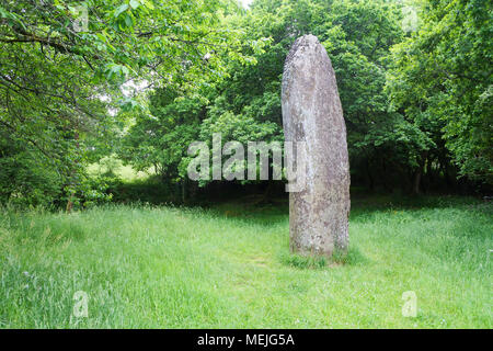 Der Menhir de Kerampeulven, ein Standing Stone bei Huelgoat, Brittant, Frankreich - Johannes Gollop Stockfoto