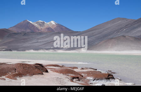 Salar de Talar in der Atacama Wüste (Chile) Stockfoto