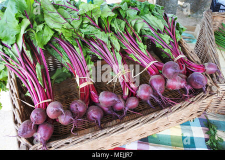 Bündel von Rote Bete auf Anzeige an einen französischen Markt - Johannes Gollop Stockfoto