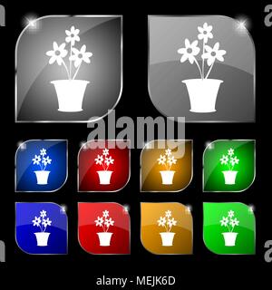 Vase mit Blumen Symbol unterzeichnen. Set aus 10 farbigen Buttons mit Blendschutz. Vector Illustration Stock Vektor