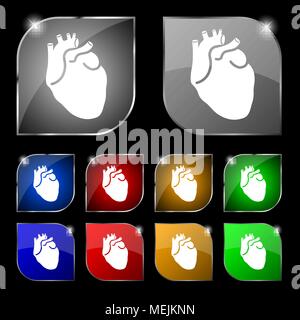 Menschliche Herz Symbol unterzeichnen. Set aus 10 farbigen Buttons mit Blendschutz. Vector Illustration Stock Vektor