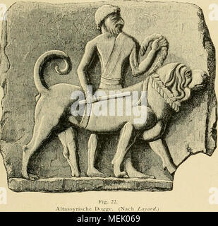 . Die Abstammung der ältesten Haustiere.. . Stockfoto